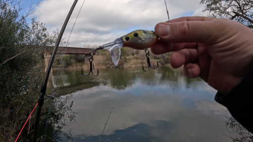 Pescando-y-cocinando-en-la-orilla-del-Arroyo-Urquiza-33.png