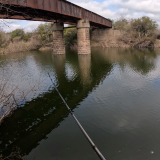 Pescando-y-cocinando-en-la-orilla-del-Arroyo-Urquiza-38