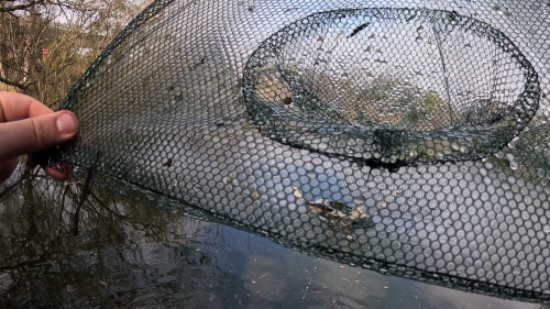 Pescando-y-cocinando-en-la-orilla-del-Arroyo-Urquiza-39.png