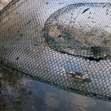 Pescando-y-cocinando-en-la-orilla-del-Arroyo-Urquiza-39