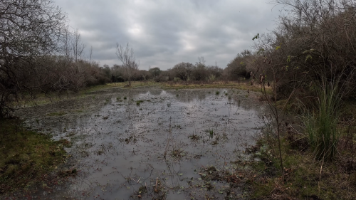 Pescando-y-cocinando-en-la-orilla-del-Arroyo-Urquiza-42.png