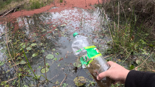 Pescando-y-cocinando-en-la-orilla-del-Arroyo-Urquiza-45.png
