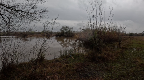 Pescando tarariras en cantera abandonada de Colon Entre Rios 14