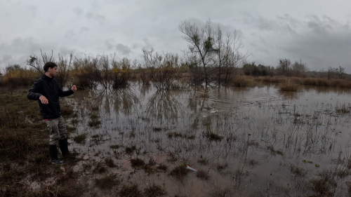 Pescando tarariras en cantera abandonada de Colon Entre Rios 16