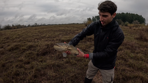 Pescando-tarariras-en-cantera-abandonada-de-Colon-Entre-Rios-25.png