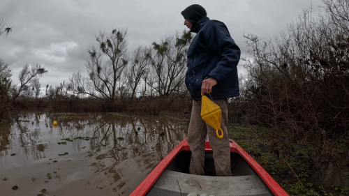 Pescando-tarariras-en-cantera-abandonada-de-Colon-Entre-Rios-29.png