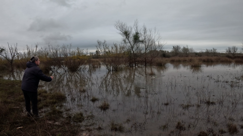 Pescando-tarariras-en-cantera-abandonada-de-Colon-Entre-Rios-32.png